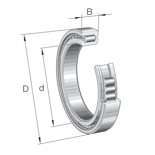 Cylindrical roller bearing -  SL Type, SL-182952