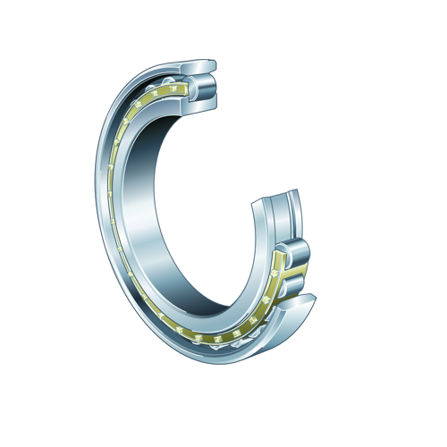 Cylindrical Roller Bearing, N1010K.M1.SP