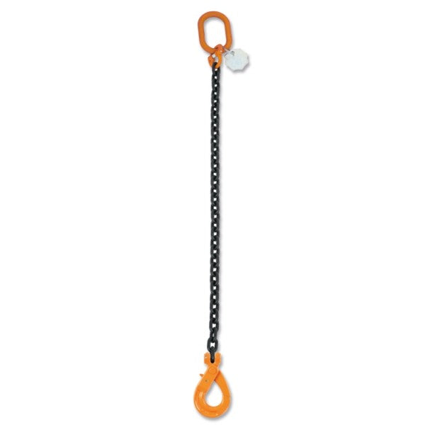 8091SL D8-2-CHAIN SLING EN818 1 LEG 2M