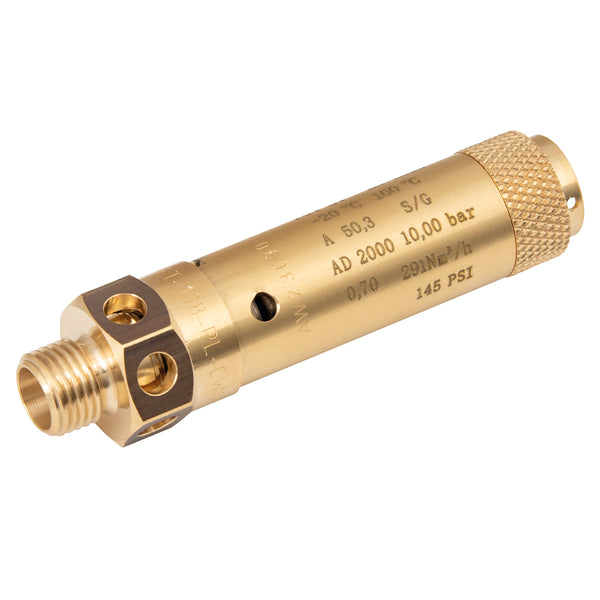 10 BAR 1/4" BSPM PRESSURE SAFETY VALVE; 2020-8906