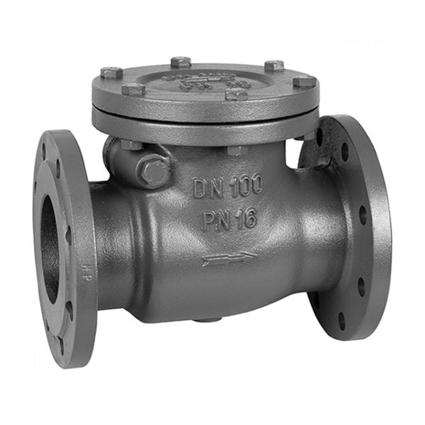 Cast Iron Check Valve – Flanged PN16 - 5"