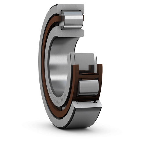 Cylindrical Roller Bearing, NJ2220E.TGP.C3