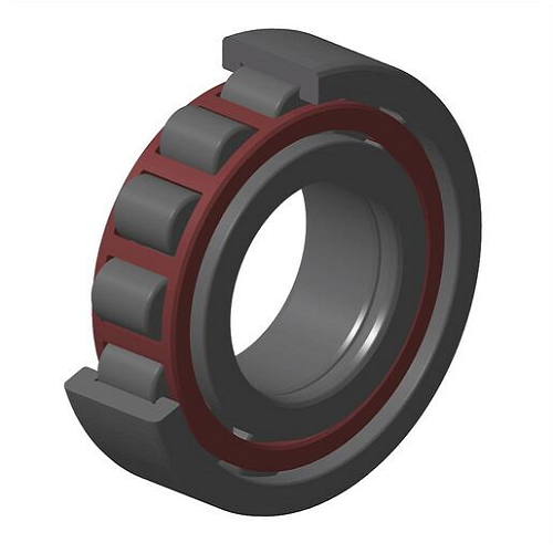 Cylindrical Roller Bearing, NUP305E