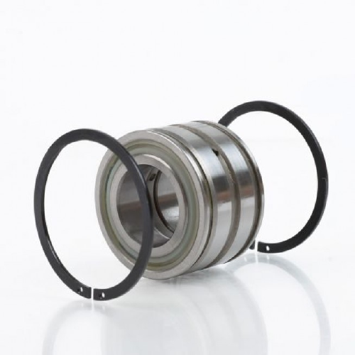 Cylindrical roller bearing -  SL Type, SL-045013PP2NR