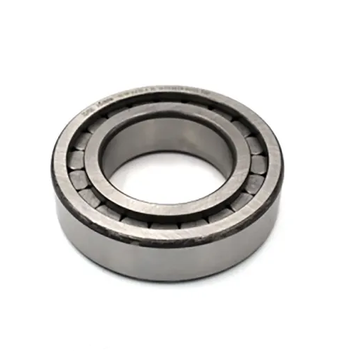 Cylindrical roller bearing -  SL Type, SL-185007