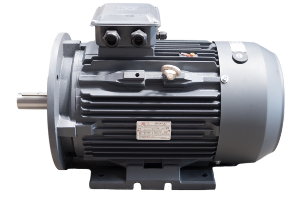 22kw, 2 pole cast iron motor