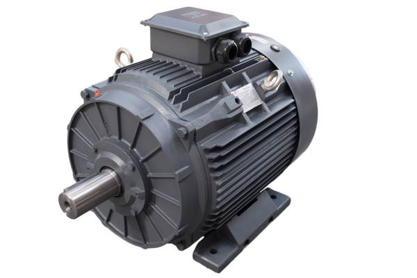 18.5kw, 2 pole, cast iron motor