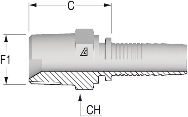 1.1/4" BSPT Taper Male x 1 1/4 Hose