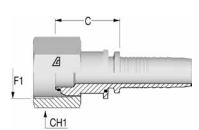 1.1/4" BSP Straight Female x 1 1/4 Hose