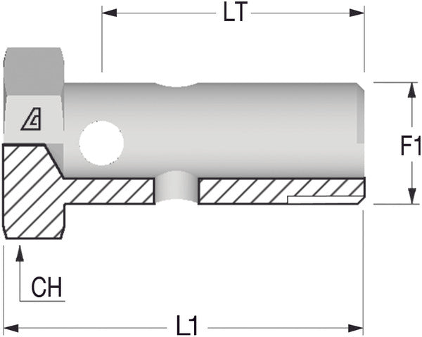 1/4" BSP Banjo Bolt