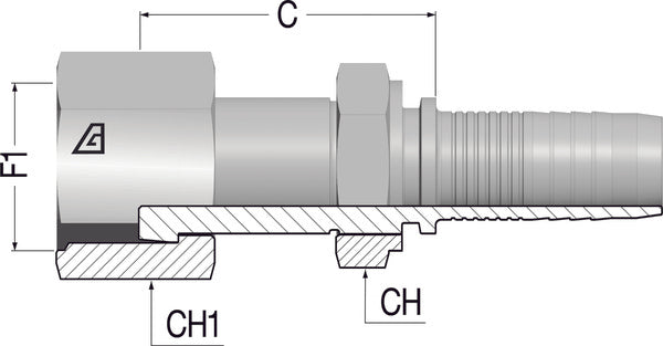 1" -14 ORFS Flat/Faced Female x 1/2 Hose