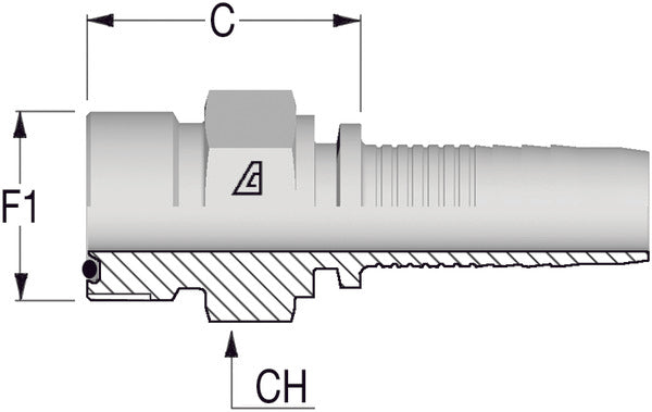 11/16" -16 ORFS Male x 3/8 Hose