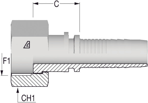 3/8" BSP Flat/Faced Female x 3/8 Hose