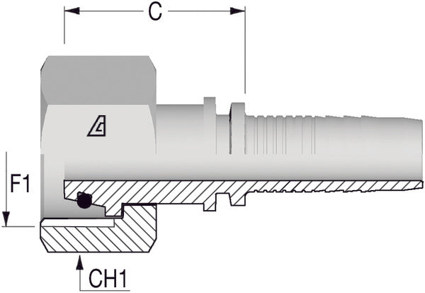 3/4" BSP Flat/Faced Female x 5/8 Hose