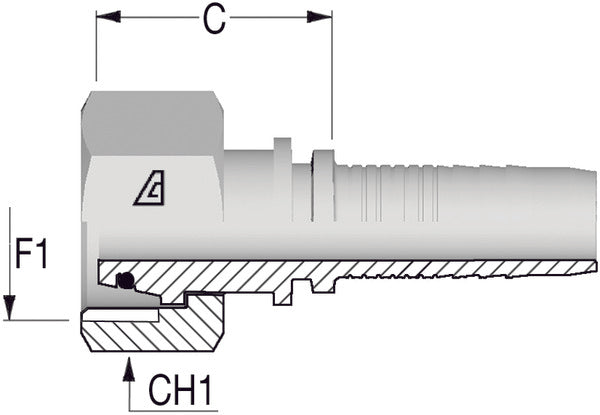 M18 -1.5 Female Metric Straight x 1/4 Hose