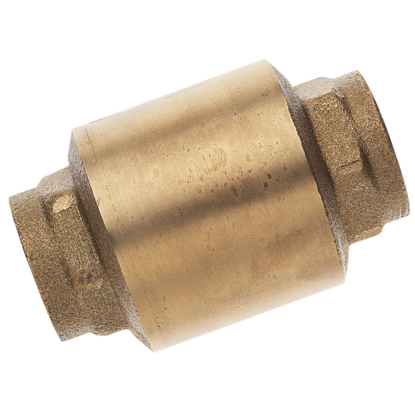 2" BSP Brass Check Valve